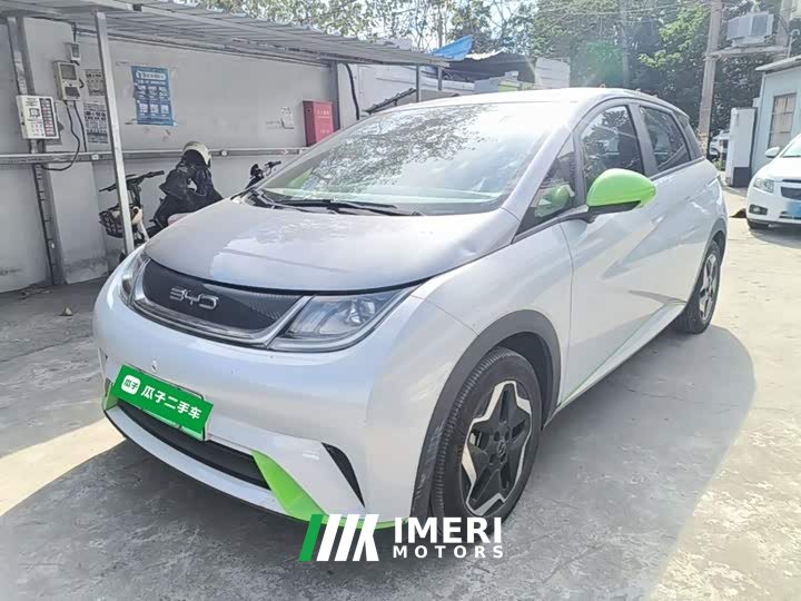 BYD Dolphin 405km Freedom Edition - ავტომობილი ჩინეთიდან