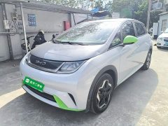 BYD Dolphin 405km Freedom Edition - ფოტო 1
