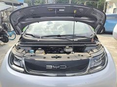 BYD Dolphin 405km Freedom Edition - ფოტო 19