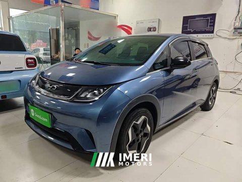 2024 BYD Dolphin 2025 420km Vitality Edition - ავტომობილი ჩინეთიდან