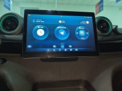 BYD Dolphin 2025 420km Vitality Edition - ფოტო 12