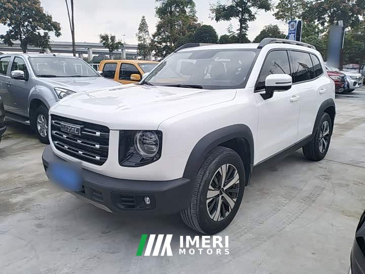 Great Wall Dachshund 1.5T DCT Two-Wheel Drive Labrador Edition - ავტომობილი ჩინეთიდან