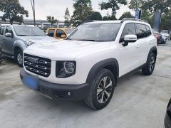 Great Wall Dachshund 1.5T DCT Two-Wheel Drive Labrador Edition - ფოტო 1