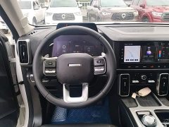 Great Wall Dachshund 1.5T DCT Two-Wheel Drive Labrador Edition - ფოტო 10