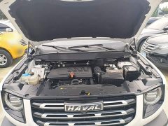 Great Wall Dachshund 1.5T DCT Two-Wheel Drive Labrador Edition - ფოტო 19