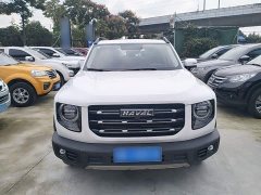 Great Wall Dachshund 1.5T DCT Two-Wheel Drive Labrador Edition - ფოტო 2