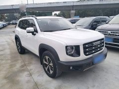 Great Wall Dachshund 1.5T DCT Two-Wheel Drive Labrador Edition - ფოტო 3