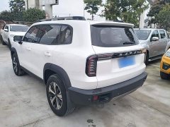 Great Wall Dachshund 1.5T DCT Two-Wheel Drive Labrador Edition - ფოტო 4