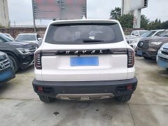 Great Wall Dachshund 1.5T DCT Two-Wheel Drive Labrador Edition - ფოტო 5