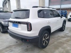 Great Wall Dachshund 1.5T DCT Two-Wheel Drive Labrador Edition - ფოტო 6
