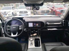 Great Wall Dachshund 1.5T DCT Two-Wheel Drive Labrador Edition - ფოტო 9