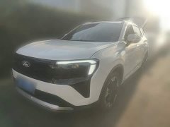 Ford Lingrui EcoBoost 170 Platinum Edition - ფოტო 1