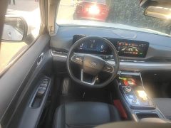 Ford Lingrui EcoBoost 170 Platinum Edition - ფოტო 14