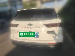 Ford Lingrui EcoBoost 170 Platinum Edition - ფოტო 7