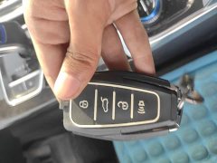 Geely Jiangji New Energy 2022 1.5TD PHEV Platinum Luxury - ფოტო 8