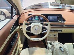ORA Good Cat 401km Standard Range Deluxe LFP - ფოტო 10