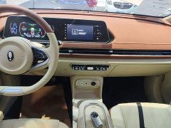 ORA Good Cat 401km Standard Range Deluxe LFP - ფოტო 12
