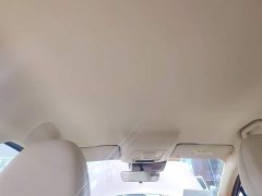 ORA Good Cat 401km Standard Range Deluxe LFP - ფოტო 17
