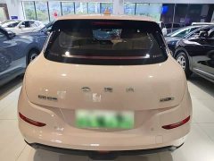 ORA Good Cat 401km Standard Range Deluxe LFP - ფოტო 5
