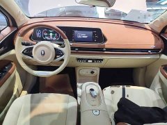 ORA Good Cat 401km Standard Range Deluxe LFP - ფოტო 9