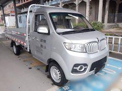 Golden Cup T3 1.5L Version 2.92 - ფოტო 3