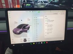 Tesla Model Y Rear-Wheel Drive - ფოტო 12