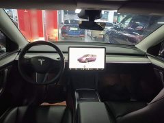 Tesla Model Y Rear-Wheel Drive - ფოტო 9