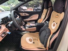 BYD Seagull 305km Vitality Edition - ფოტო 7