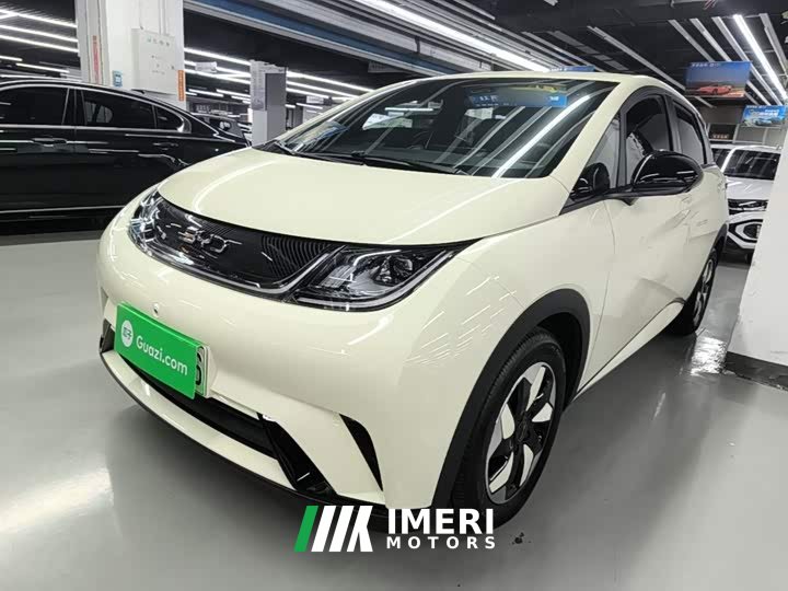 BYD Dolphin 2025 420km Freedom Edition - ავტომობილი ჩინეთიდან