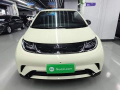 BYD Dolphin 2025 420km Freedom Edition - ფოტო 2