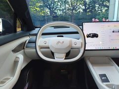 Nio Lerado L60 60kWh Rear-Wheel Drive - ფოტო 10