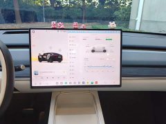 Nio Lerado L60 60kWh Rear-Wheel Drive - ფოტო 12