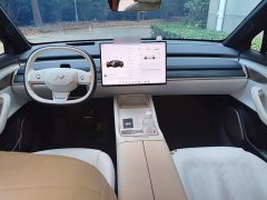 Nio Lerado L60 60kWh Rear-Wheel Drive - ფოტო 9