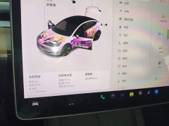 Tesla Model 3 Standard Range RWD Upgrade - ფოტო 11