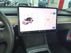 Tesla Model 3 Standard Range RWD Upgrade - ფოტო 12