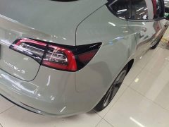 Tesla Model 3 Standard Range RWD Upgrade - ფოტო 7