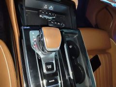 FAW Red Flag H9 2.0T Flagship Comfort Private Luxury Edition - ფოტო 13