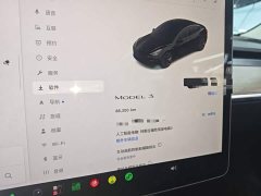 Tesla Model 3 Rear-Wheel Drive - ფოტო 11