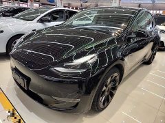 Tesla Model Y Long Range All-Wheel Drive 3D7 - ფოტო 1