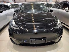 Tesla Model Y Long Range All-Wheel Drive 3D7 - ფოტო 2