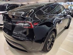 Tesla Model Y Long Range All-Wheel Drive 3D7 - ფოტო 6