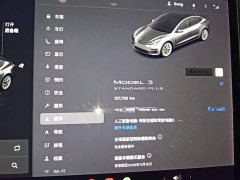 Tesla Model 3 Standard Range RWD Upgrade - ფოტო 11
