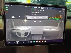 Tesla Model 3 Standard Range RWD Upgrade - ფოტო 12