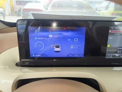 Wuling Binguo 2025 333km Joy Edition - ფოტო 11