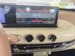 Wuling Binguo 2025 333km Joy Edition - ფოტო 12