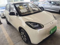 Wuling Binguo 2025 333km Joy Edition - ფოტო 3