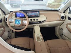 Wuling Binguo 2025 333km Joy Edition - ფოტო 9