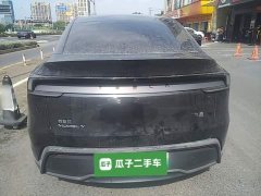 Tesla Model Y Rear-Wheel Drive - ფოტო 3