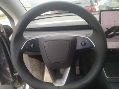 Tesla Model Y Rear-Wheel Drive - ფოტო 6