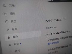 Tesla Model Y Rear-Wheel Drive - ფოტო 7
